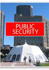 public security